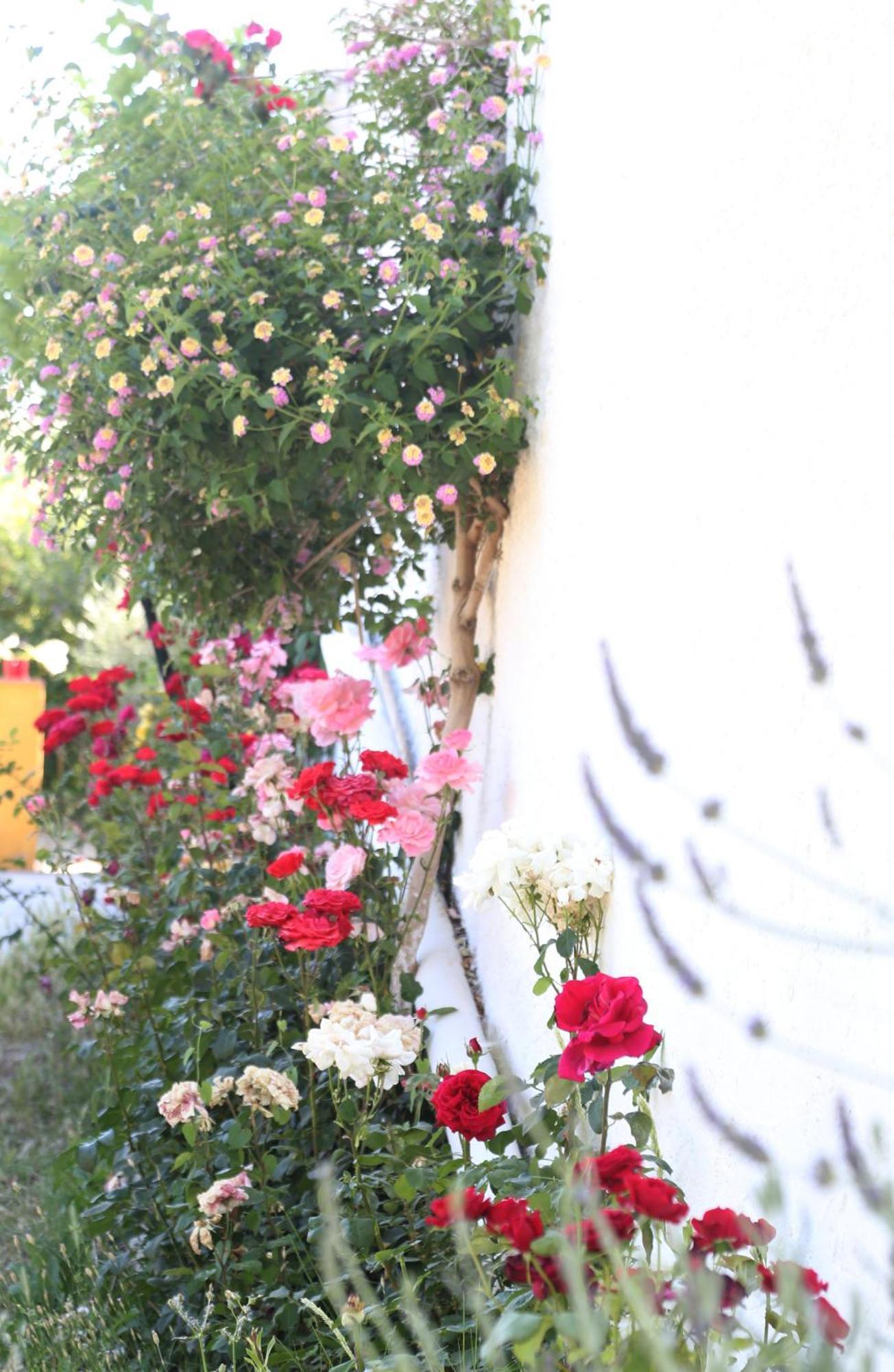 Casa Rural Huerta La Lapa Canete la Real Εξωτερικό φωτογραφία