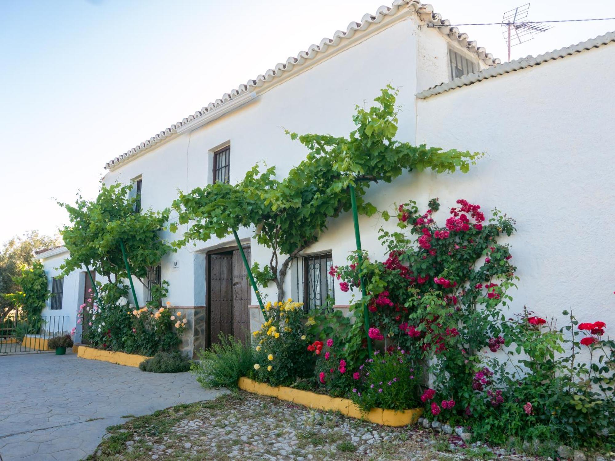 Casa Rural Huerta La Lapa Canete la Real Εξωτερικό φωτογραφία
